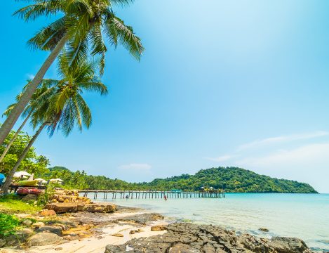 Beautiful tropical beach and sea with coconut palm tree in paradise island for travel and vacation